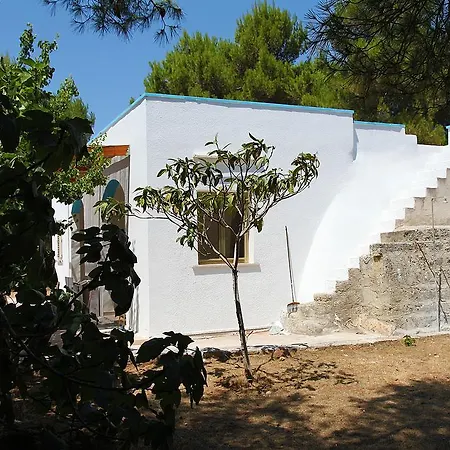 Trullo La Noce Lantställe