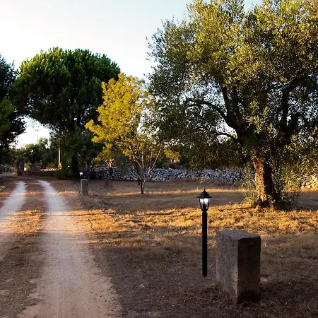 Lantställe Trullo La Noce Castrignano del Capo