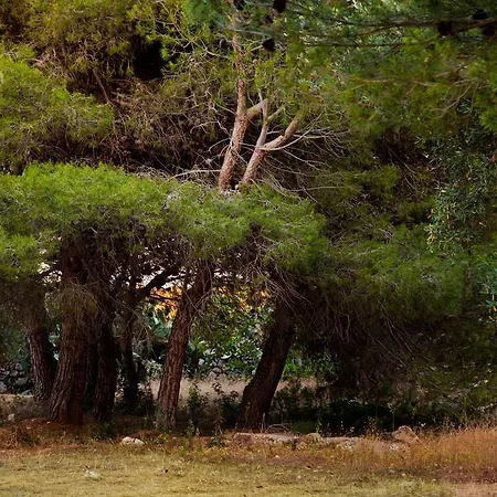 Trullo La Noce Lantställe