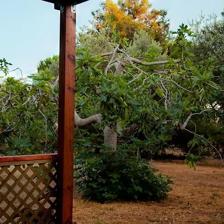 Trullo La Noce Lantställe Castrignano del Capo