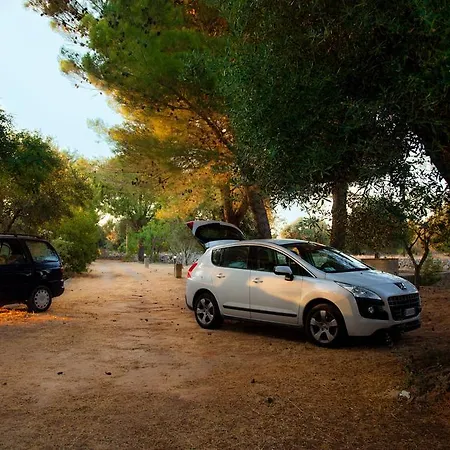 Lantställe Trullo La Noce Castrignano del Capo